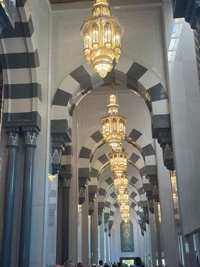 Muscat : 4 hours private Tour of Muscat City with Pick-up - The National Museum, with an important timing question