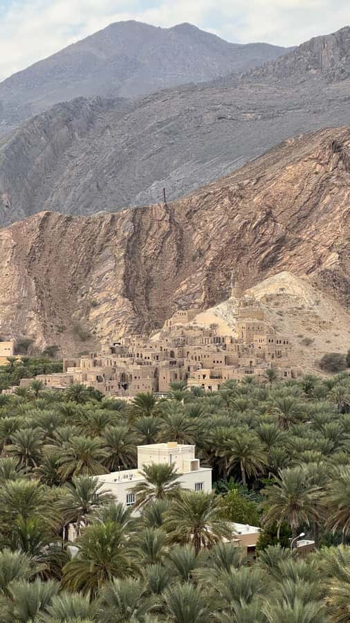 Muscat: 4x4 Adventure Through Jebel Akhdar and Nizwa - Nizwa Souq, dates, halwa, and practical shopping