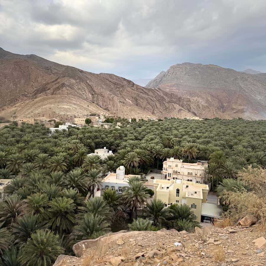 Muscat: 4x4 Adventure Through Jebel Akhdar and Nizwa - Lunch with mountain air
