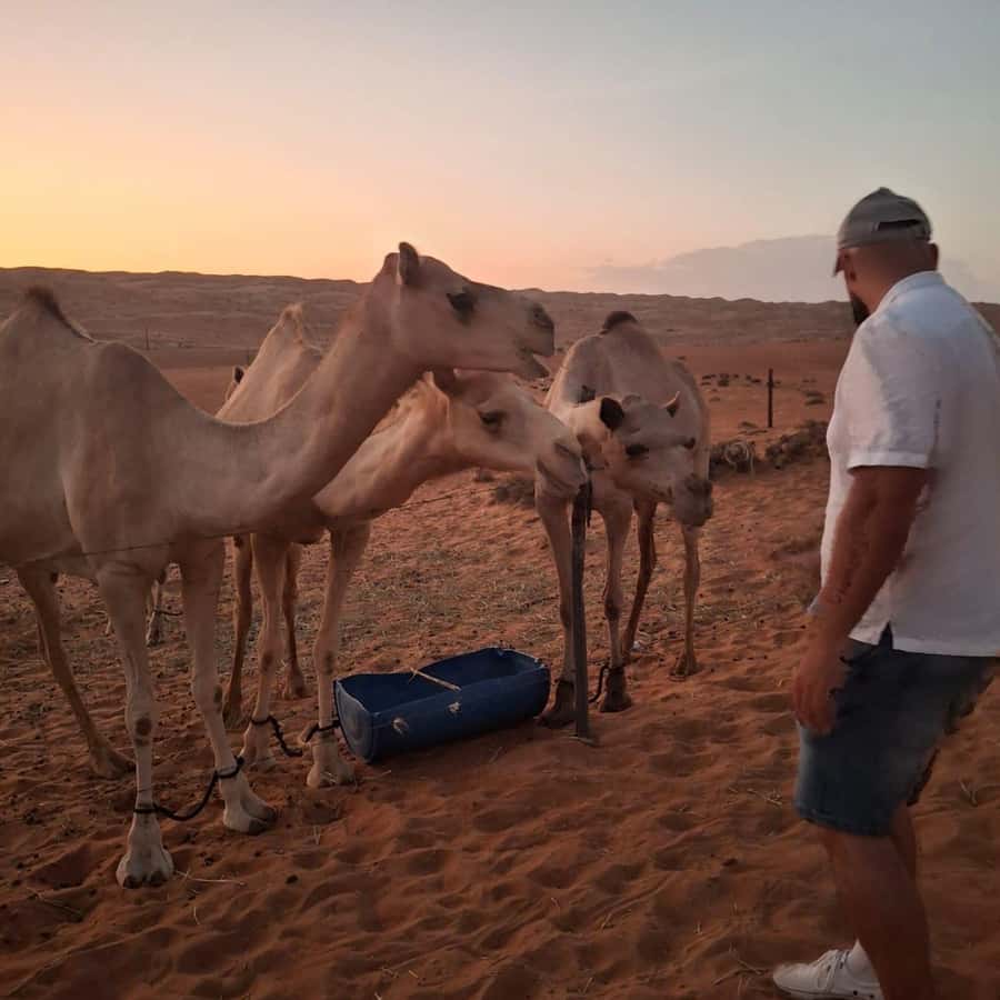 Muscat: Bidiya Desert Sunset Camel Ride with Transfer - First views of the Bidiya sands