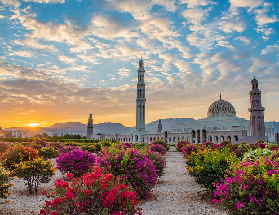 Muscat: Budget Friendly City Tour - Key points at a glance