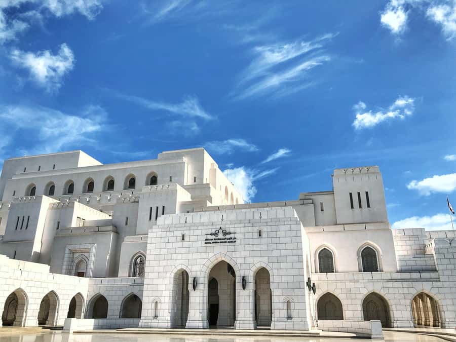 Muscat: City Highlights Tour with Optional Transfers - What this Muscat tour is really good at