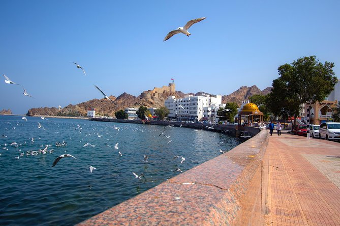 Muscat City Tour Full Day - Private Guided Tour from Muscat - Two forts and a royal palace in Old Muscat
