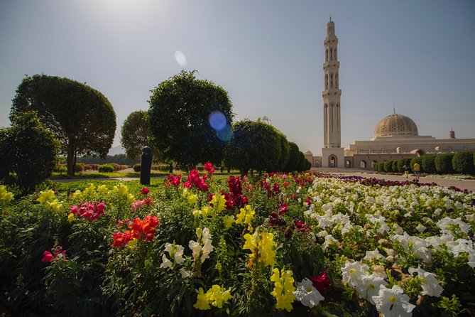 Muscat City Tour Full Day - Private Guided Tour from Muscat - What $200 per person really buys