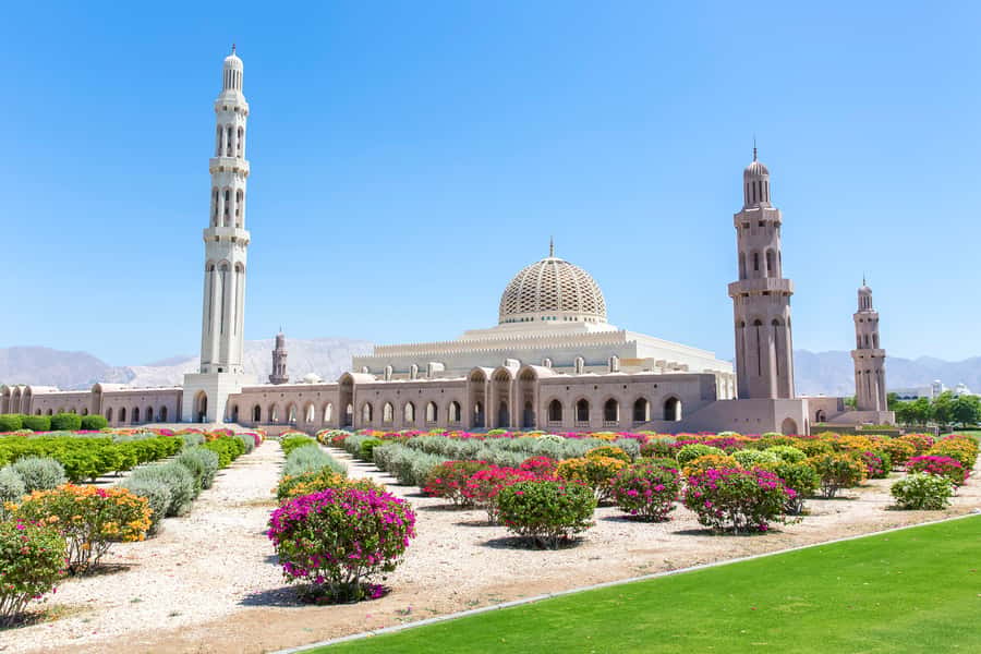 Muscat: City Tour of Grand Mosque, Old Souqs, Museum, & Fort - Understanding Oman at Bait Al Zubair Museum