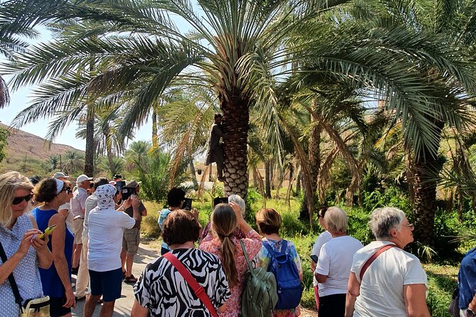 Muscat City Tour with All Language Guide - Why this short Muscat tour works