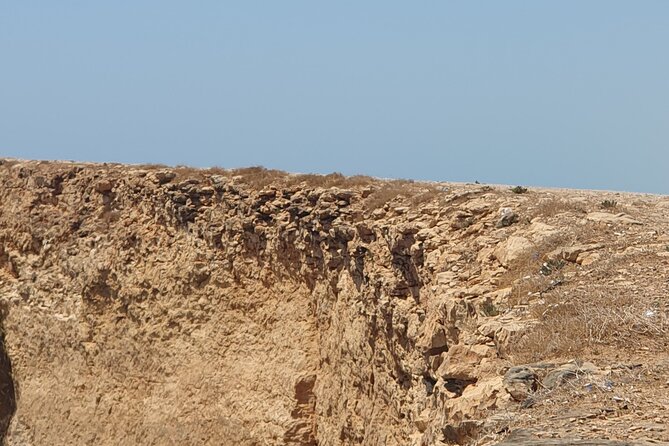 Muscat City Tour with All Language Guide - A guide can make or break the morning