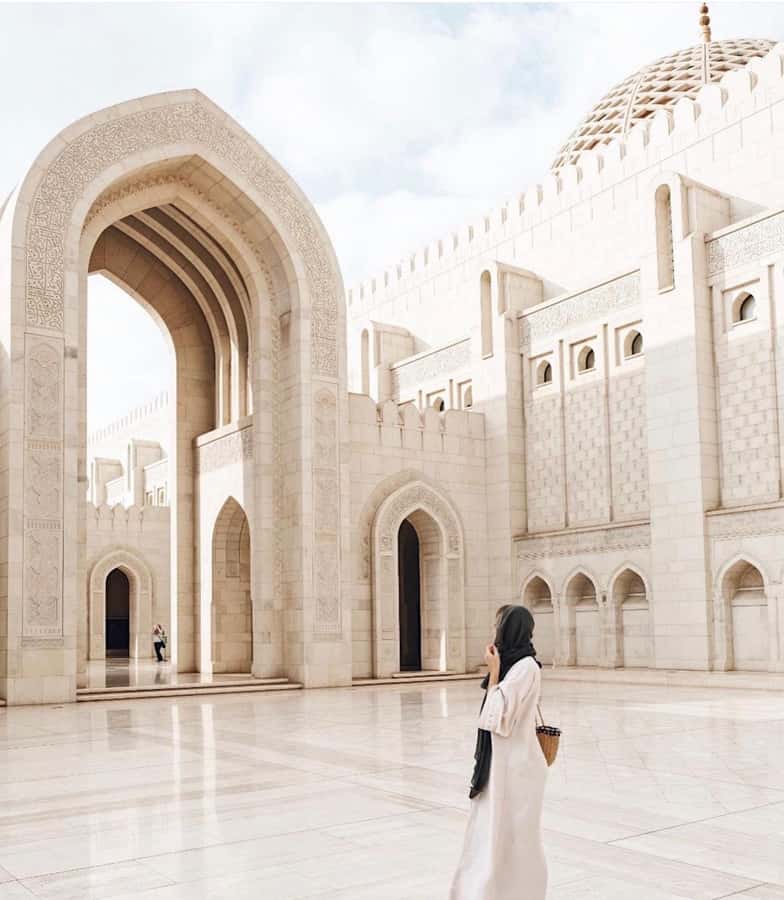muscat city tour with pick up SMALL GROUP 7 PEOPLE MAX - Al Alam Palace and a quick royal photograph