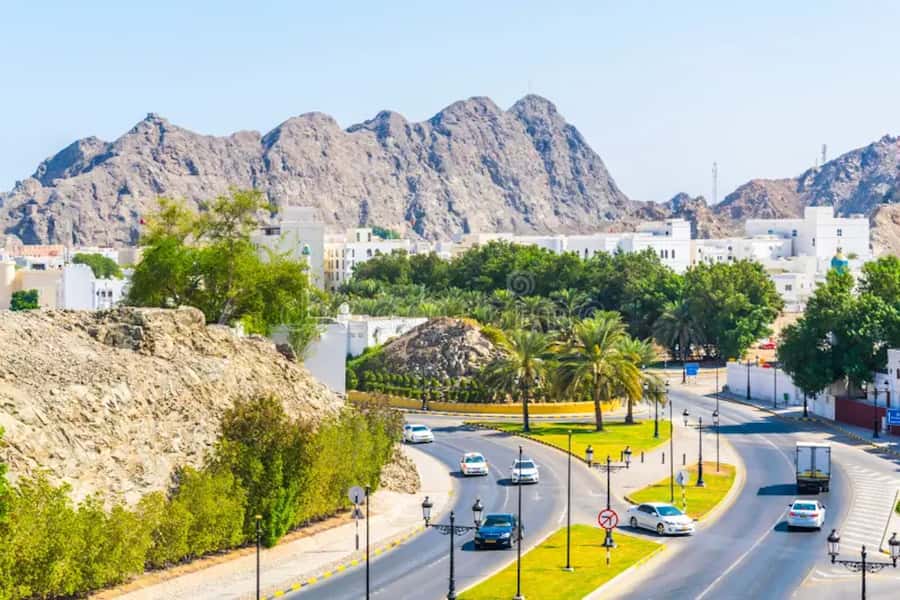 muscat city tour with pick up SMALL GROUP 7 PEOPLE MAX - What the guides add to the experience