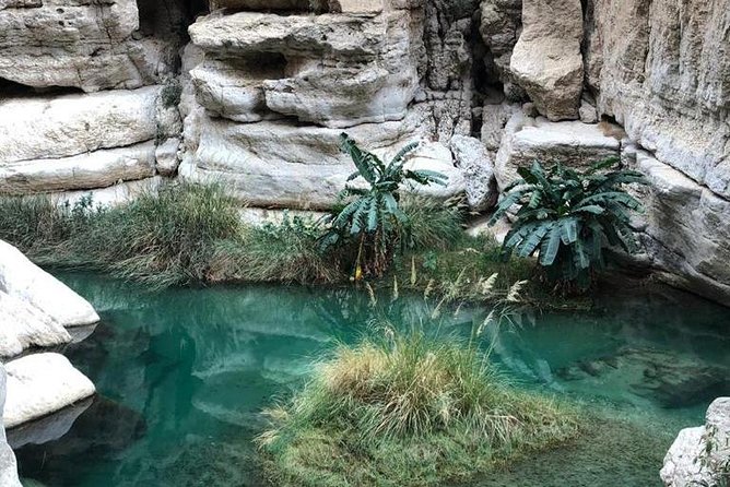 Muscat City & Wadi Shab Full-Day Adventure - Mutrah Souq after the open air