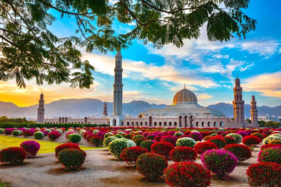 Muscat: Day Tour with Omani Lunch, Hotel Pickup, and Airfare - Qurum Beach, with time for lunch