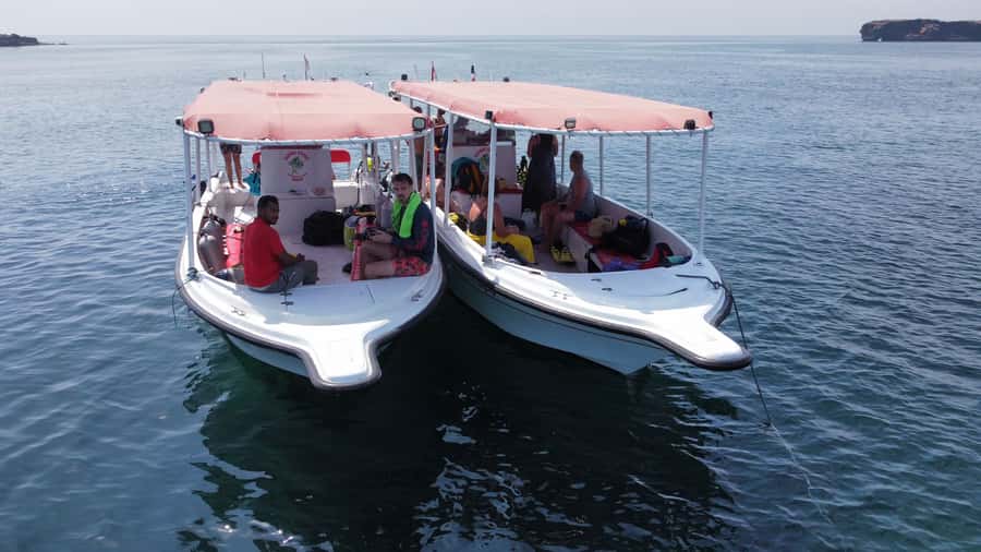 Muscat: Daymaniat Islands Scuba Diving for Beginners - Why the Daymaniat Islands make a good first underwater outing