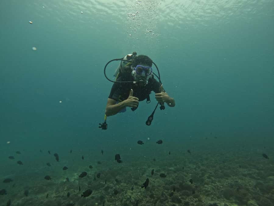 Muscat: Daymaniat Islands Scuba Diving for Beginners - One main scuba session, with time to try snorkeling