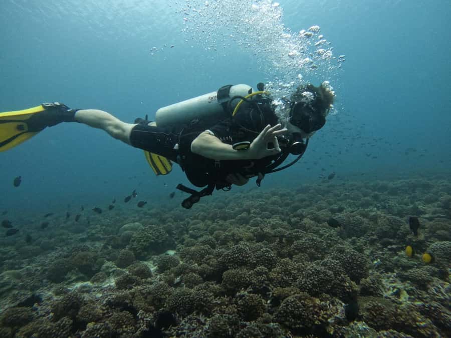 Muscat: Daymaniat Islands Scuba Diving for Beginners - The 8:15 AM start at Global Scuba