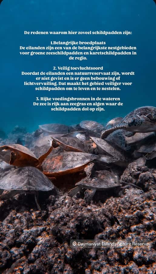 Muscat: Daymaniat Islands Snorkeling Tour with Refreshments - Why the Daymaniat Islands are worth your morning