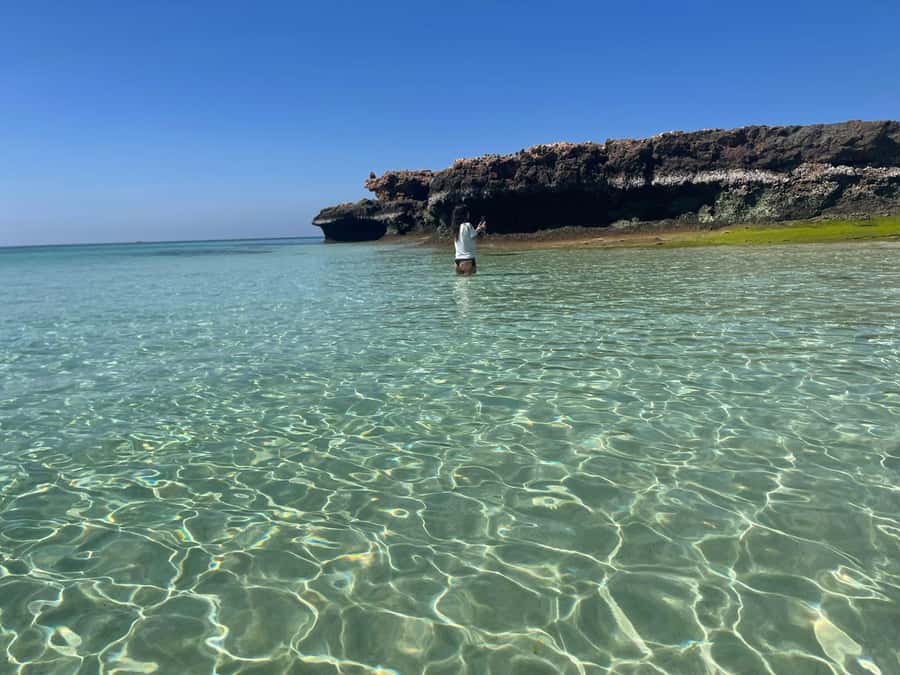 Muscat: Daymaniat Islands Snorkeling Trip with Brunch - Key points at a glance