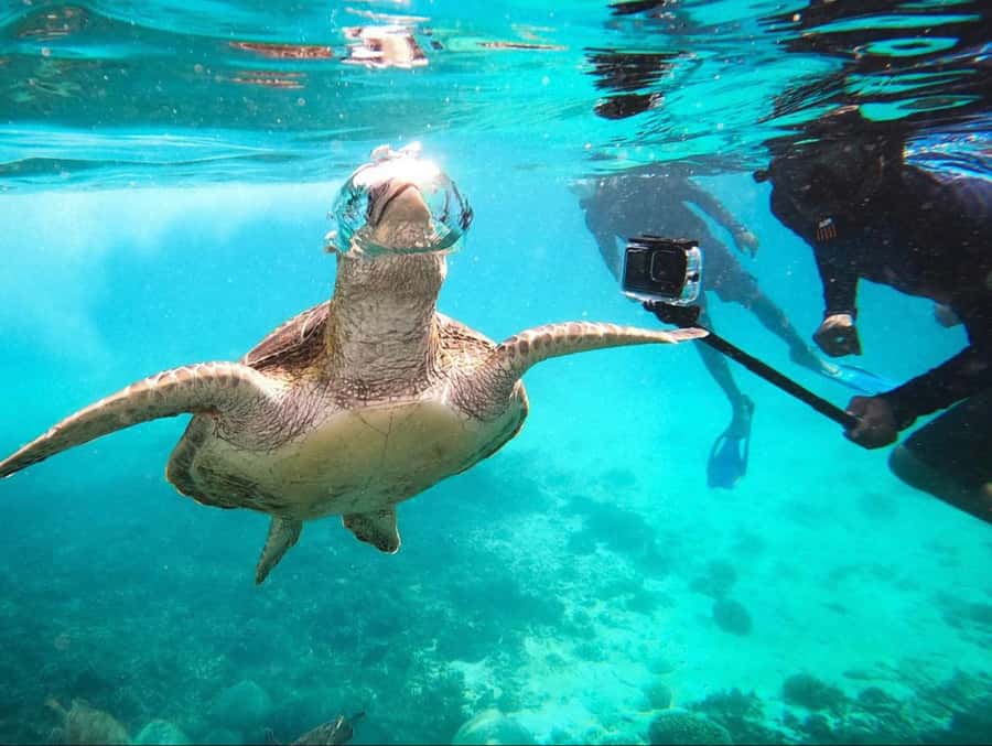 Muscat: Daymaniat Islands Snorkeling Trip with Brunch - Reaching the Daymaniat Islands by boat