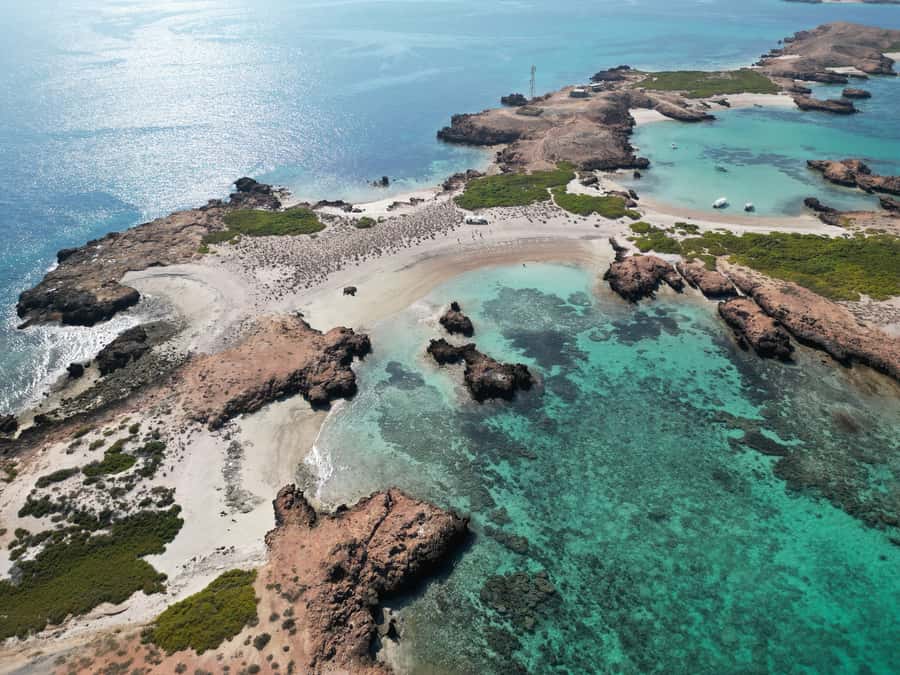 Muscat: Daymaniat Islands Tour - Snorkeling with turtles and reef fish