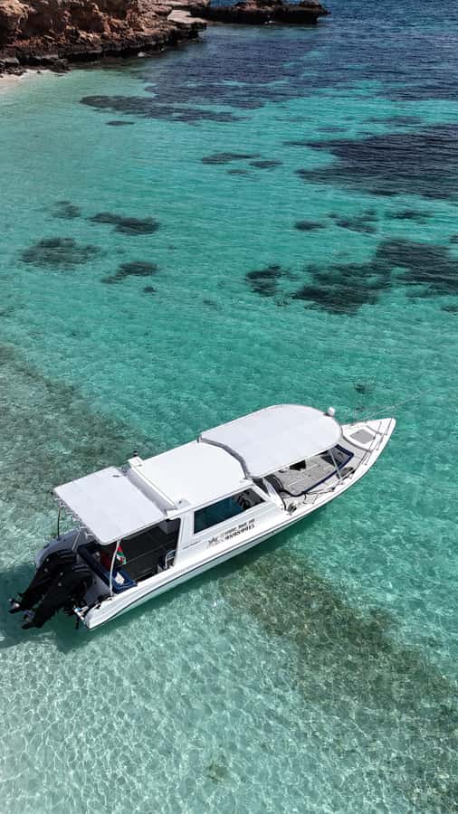 Muscat: Daymaniat Islands Tour - Who will enjoy this tour most