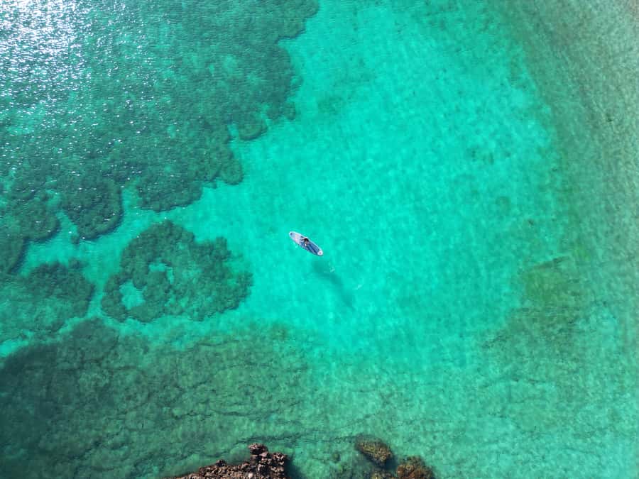 Muscat: Daymaniat Islands Tour - Leaving Seeb Port for a five-hour sea outing