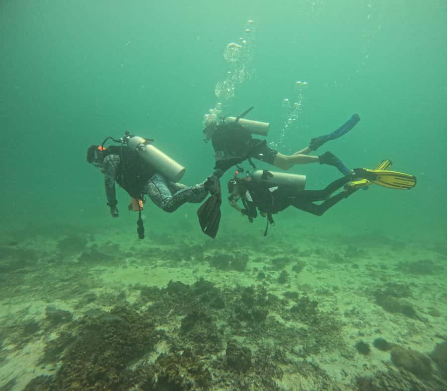 Muscat: Daymaniat Islands Try Scuba Diving - Key points at a glance