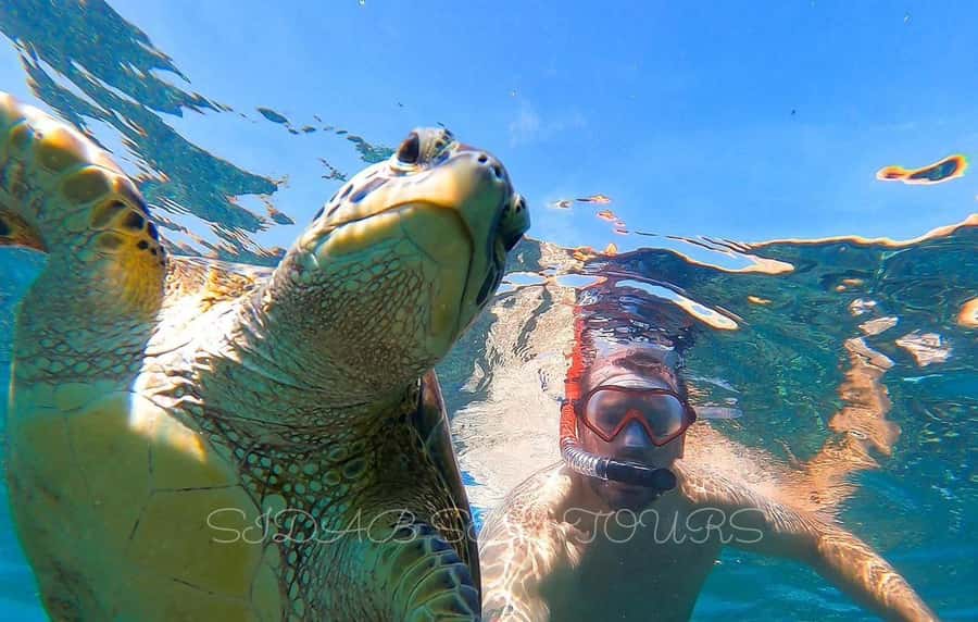 Muscat: Daymaniyat Island Snorkeling with Turtles Tour - The boat ride along Muscat’s coast