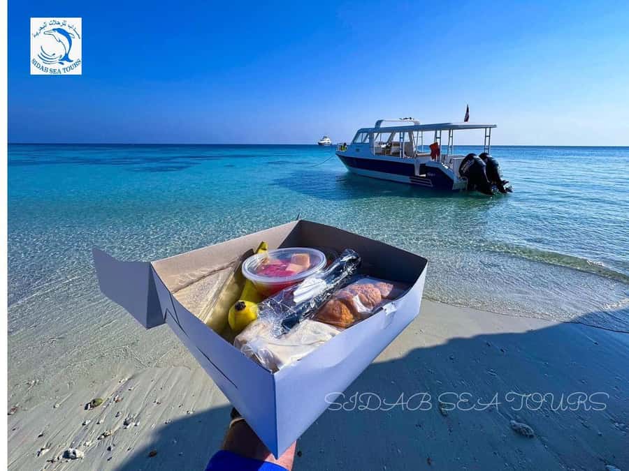 Muscat: Daymaniyat Island Snorkeling with Turtles Tour - White sand, lunch, and island time