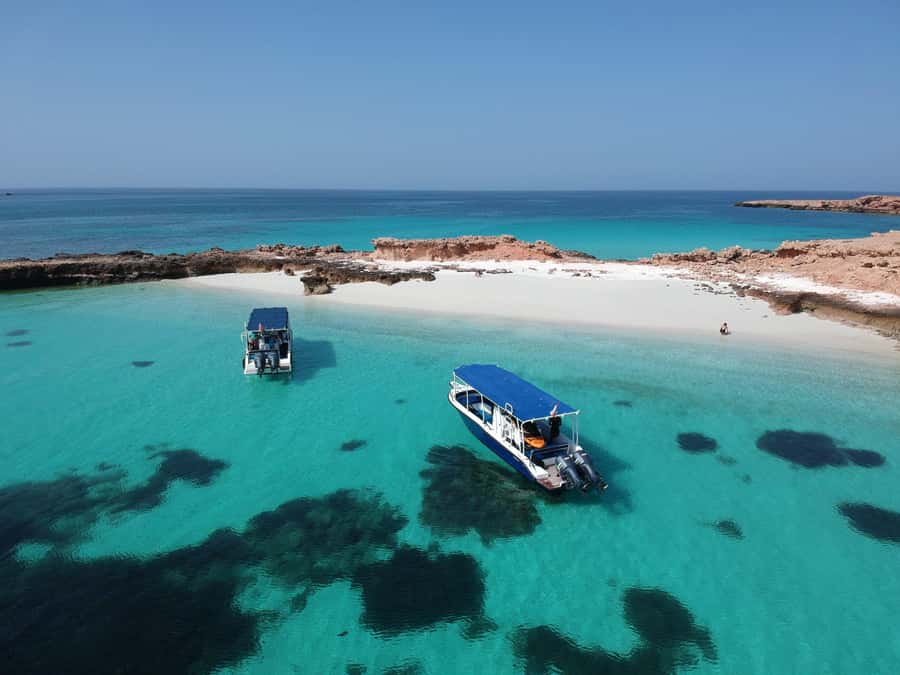 Muscat: Daymaniyat Island Snorkeling with Turtles Tour - The crew and guide experience