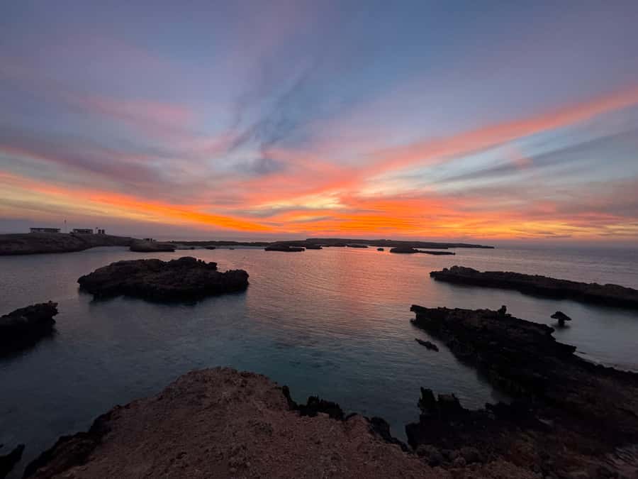 Muscat: Daymaniyat Islands Snorkeling Tour - Who will enjoy this outing most