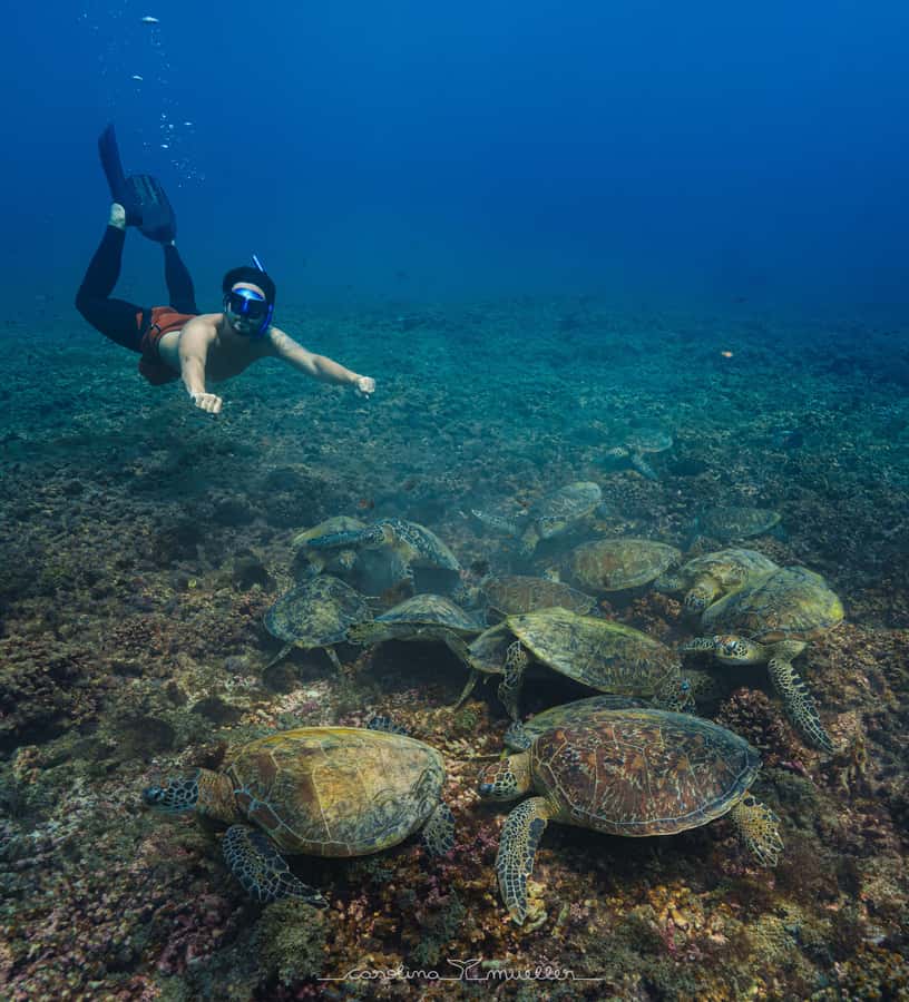 Muscat: Daymaniyat Islands Snorkeling Trip with BBQ Lunch - Key points to know before you book