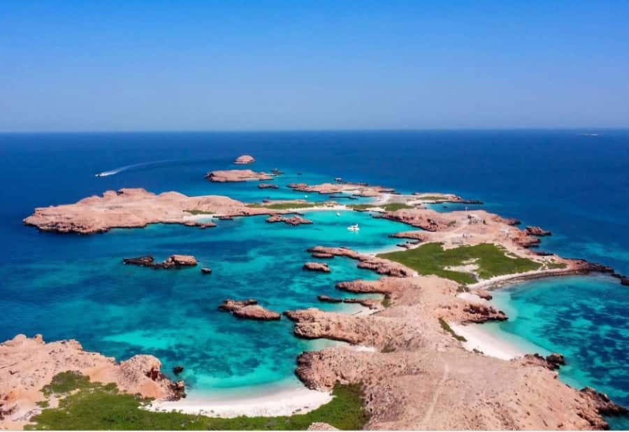 Muscat: Daymaniyat Islands Snorkeling Trip with BBQ Lunch - Swimming with turtles around protected reefs