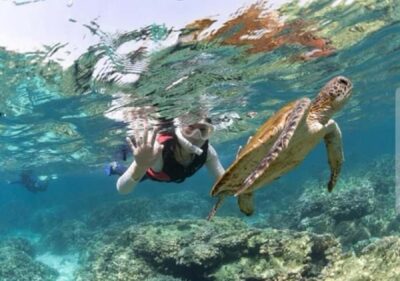 Daymaniyat Islands Snorkeling Trip with BBQ Lunch