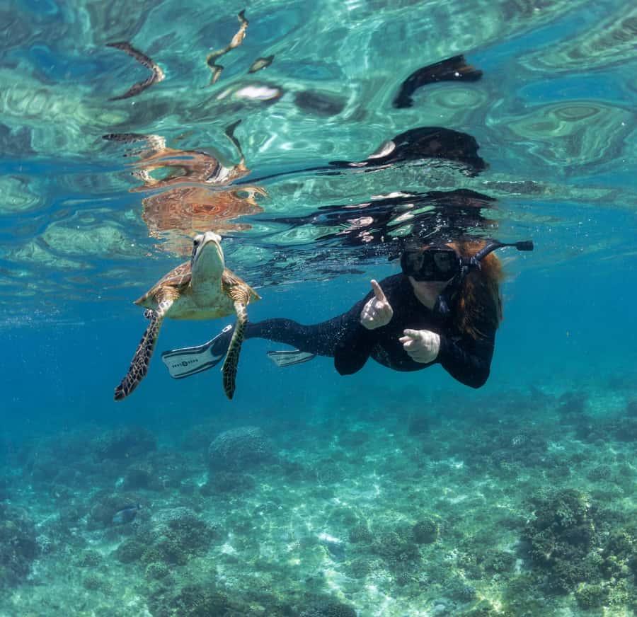 Muscat: Daymaniyat Islands Snorkeling Trip with BBQ Lunch - Who should book this Daymaniyat trip