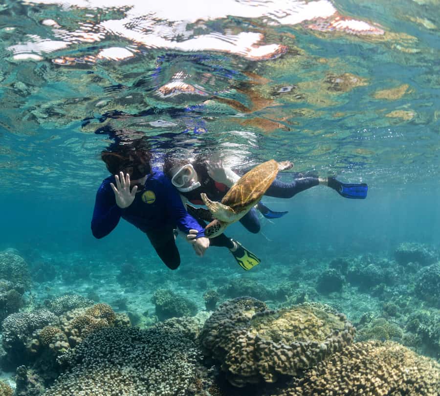 Muscat: Daymaniyat Islands Snorkeling Trip with BBQ Lunch - Should you book it?
