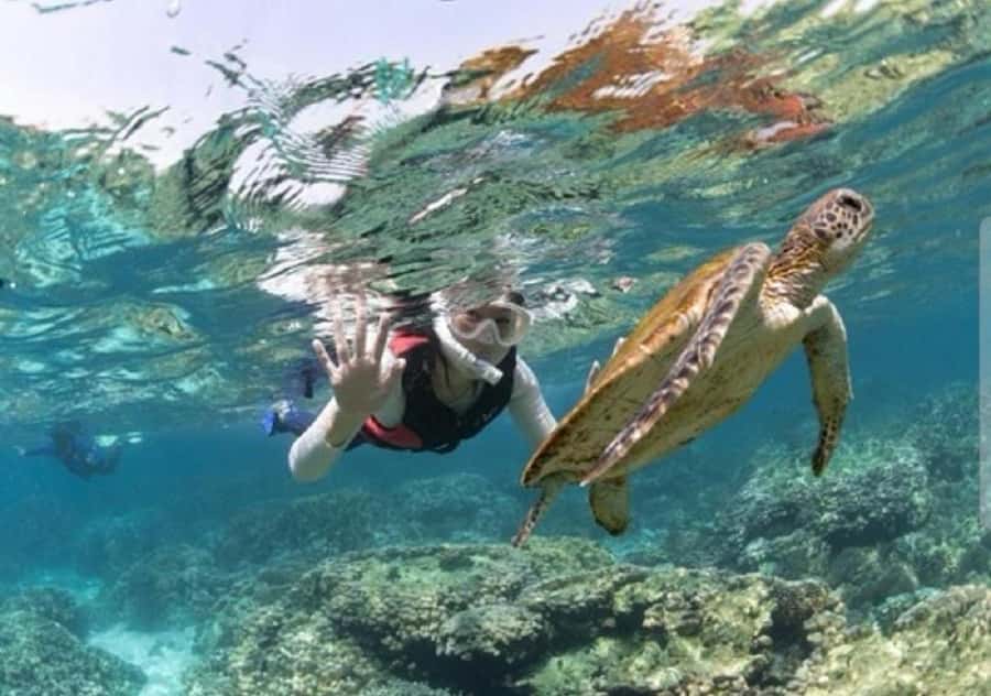 Muscat: Daymaniyat Islands Snorkeling Trip with BBQ Lunch - Choosing the first snorkeling site
