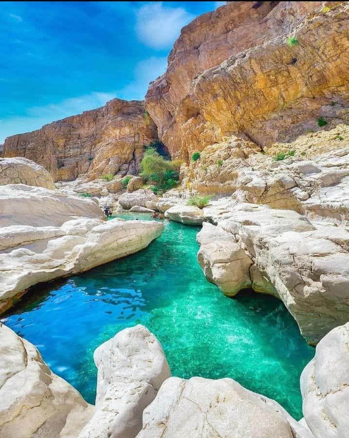 Muscat: Desert Sunset &Wadi Bnai Khalid Full-Day Tour+Lunch - Who should book this day?