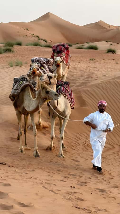 Muscat: Desert & Wadi Bani Khalid Tour with Quad Bike Option - Lunch at a local café