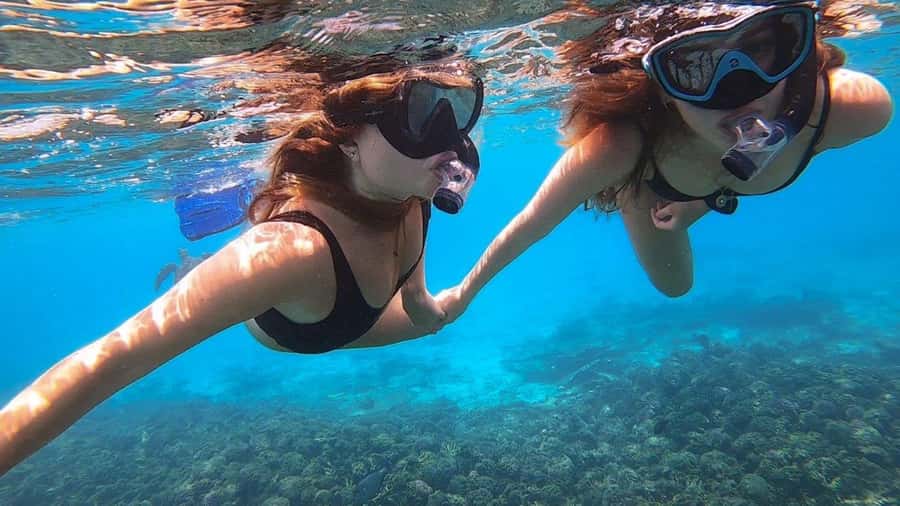 Muscat: Dolphin Watch & Snorkel Excursion - What the Boat Provides During the Morning