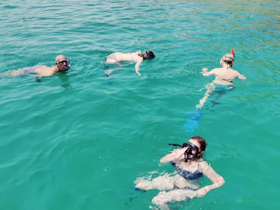 Muscat: Dolphin Watch & Snorkel Excursion - Is $52 a Fair Price for Muscat?