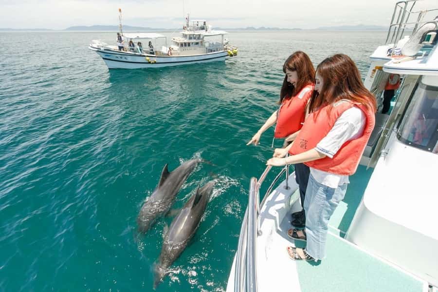 Muscat: Dolphin Watching and Snorkeling Tour - Bandar Khiran Bay and the snorkeling stop