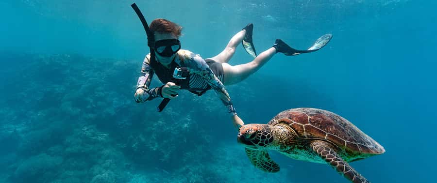 Muscat: Dolphin Watching and Snorkeling Tour - Is $90 a fair price?