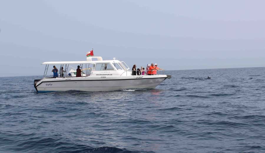 Muscat: Dolphin Watching and Snorkeling Tour By Speed Boat - Setting out from Marina Bandar Al Rowdha at 10am