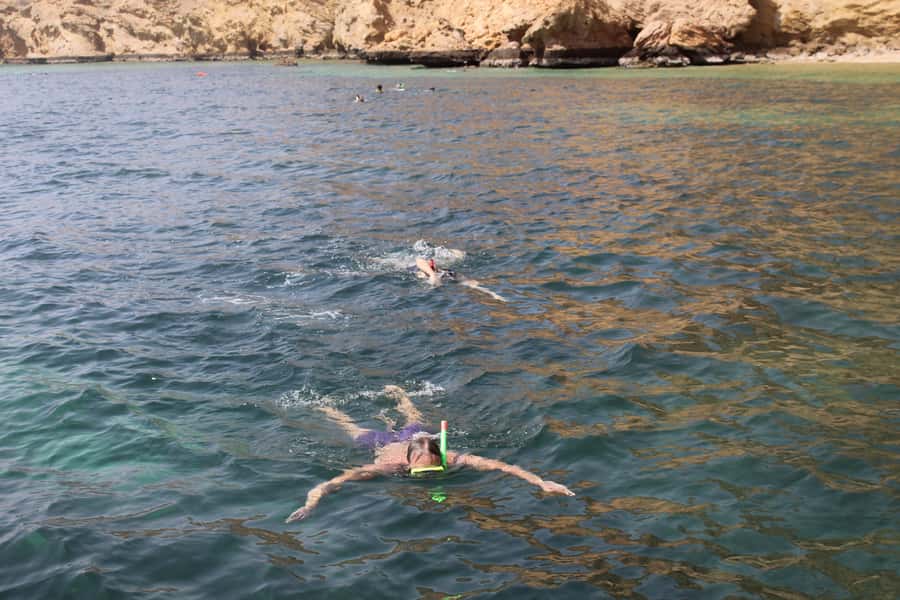Muscat: Dolphin Watching and Snorkeling Tour By Speed Boat - Searching for dolphins along the Muscat coast