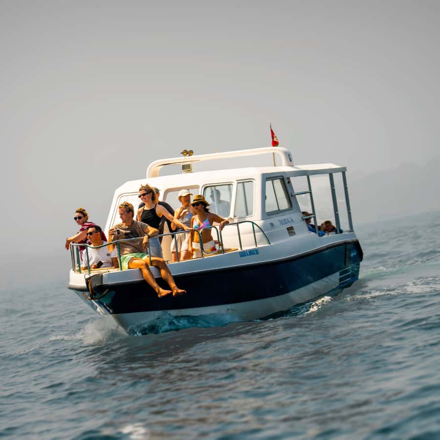 Muscat: Dolphin Watching and Snorkeling Trip - Leaving Marina Bandar Al Rowdha