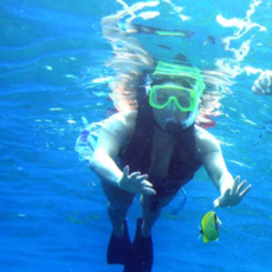 Muscat: Dolphin Watching and Snorkeling Trip - Snacks, drinks, and the small comforts