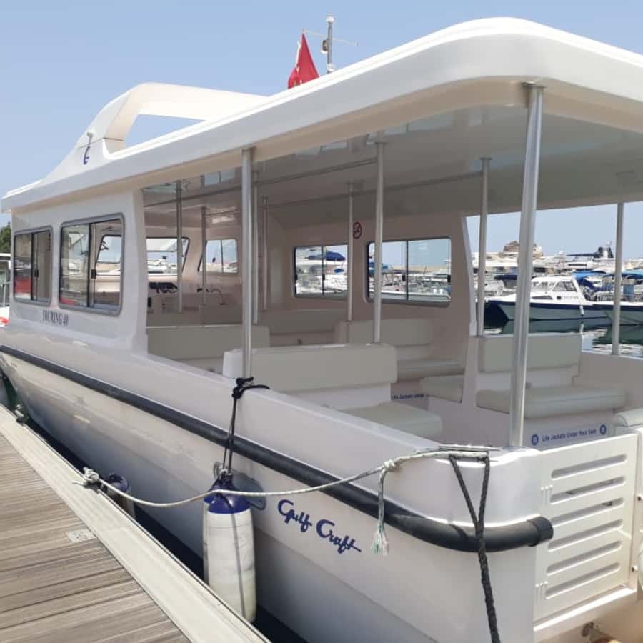Muscat: Dolphin Watching and Snorkeling Trip - Choosing the right morning departure