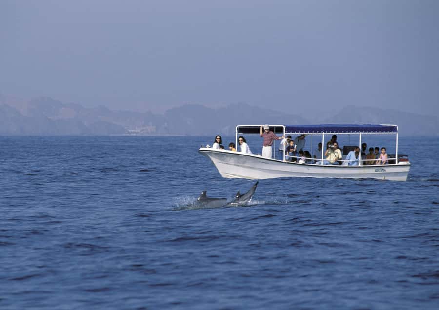 Muscat: Dolphin Watching Boat Amazing Trip - What the $28 price really buys