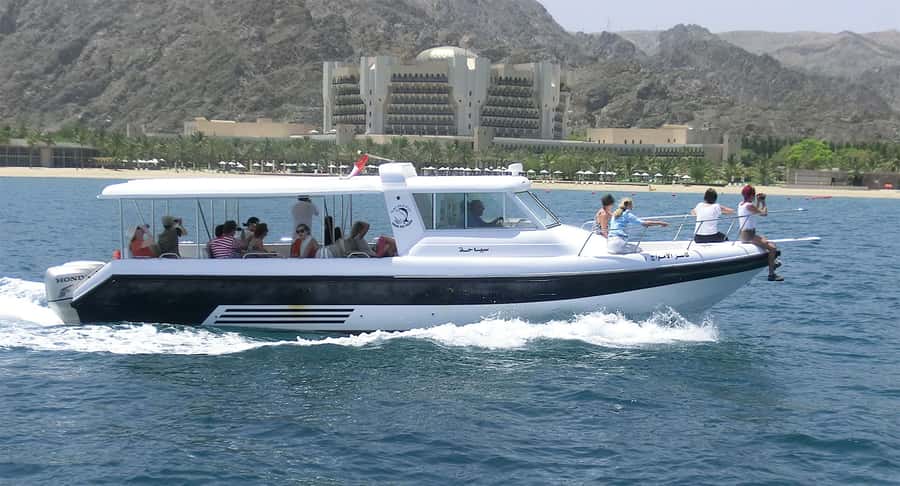 Muscat: Dolphin Watching Boat Amazing Trip - Two hours on the Gulf of Oman