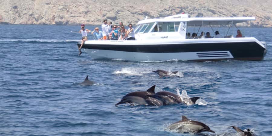 Muscat: Dolphin Watching Boat Tour - Key points to know before you book