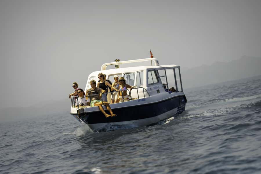 Muscat: Dolphin Watching Boat Trip with Snacks & Local Guide - Key points to know before booking